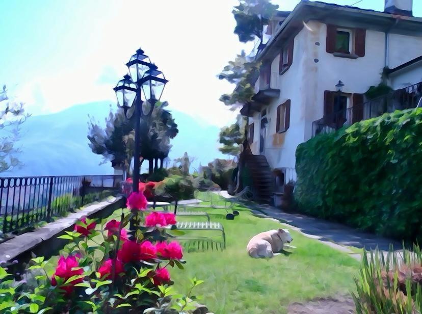 B&B Villa Moro - Family House Domodossola Exterior photo