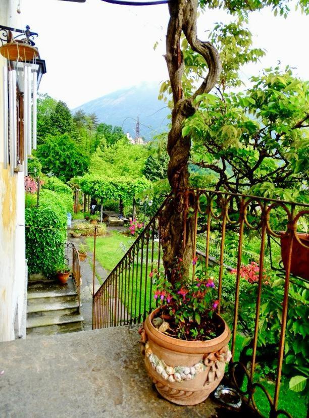 B&B Villa Moro - Family House Domodossola Exterior photo